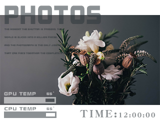 Chrysanthemum(320x240)